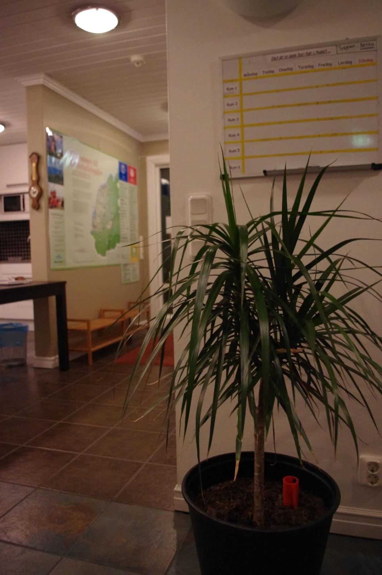 Aeventyrsgardens Vandrarhem, Kinnekulle Kallby Exterior photo